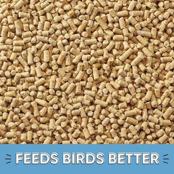 Happy Beaks - High Energy Insect Suet Pellets